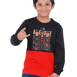 3PIN Boys Multi Cotton Regular Fit Color Block Sweatshirt-picture-5