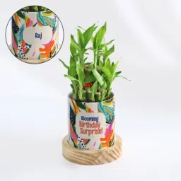 Blooming Birthday Surprise Personalized 2-Layer Bamboo Plant With Pot-17