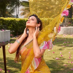 BLEESBURY Embellished Sequinned Net Saree image 2