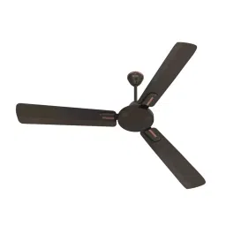 Polycab Vital Plus 1 Star Roast Brown 1200 mm Ceiling Fan-image-53