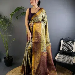 Elora Grey Dharmavaram Silk Zari Weaving Saree With Unstitched Blouse-picture-43