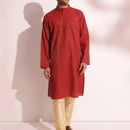 Fabindia Striped Woven Desiign Band Collar Straight Kurta-picture-7