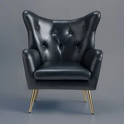 nestroots Extravagant Black & Gold Toned Wooden Lounge Chair-image-56