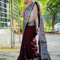 Parampara Ethnic Woven Design Zari Pure Silk Banarasi Saree-picture-3