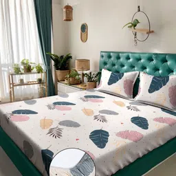 KLOTTHE Cream Colored & Blue Printed 300 TC King Double Bedsheet Set 2.5 m x 2.25 m-image-93