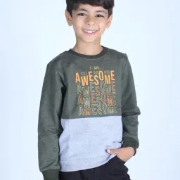 3PIN Boys Multi Cotton Regular Fit Color Block Sweatshirt-picture-5