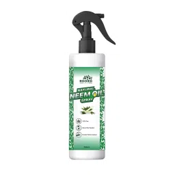 ROOTED 250 ml Clear Rooted Neem Concentrate Oil Spray or Plants and Gardens-image-14