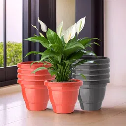 Kuber Industries 10 Pcs Red & Black Lightweight Planters-36