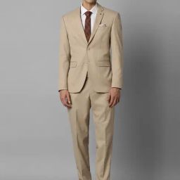 Louis Philippe Beige Slim Fit Textured Two Piece Suit-image-1