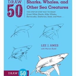 Draw 50 Sharks, Whales, and Other Sea Creatures Art Book by Lee J Ames - English-image-5