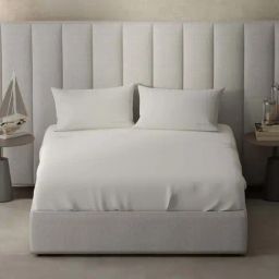 Nautica Echo-300 White Cotton 300 TC King Size Bedsheet With 2 Pillow Covers-image-66