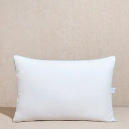 Westside Home White Plush Pillow Filler-43