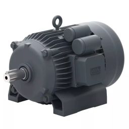Lubi Single Phase 3 HP B34 Foot Cum Face Special Motors, MMS03006-image-6