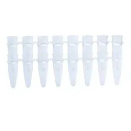 Abdos 0.1 ml Capacity White Low Profile AmpQlear PCR 8 Strip Tubes Without Cap, P10733 (Pack of 125)-picture-41