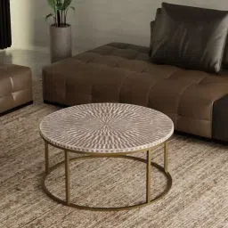 Casagold Sunstrike Vegan Shell Inlay Coffee Table With Stand - Brown image 1