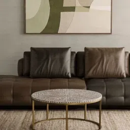 Casagold Cleo Vegan Shell Inlay Coffee Table With Stand - Brown image 1