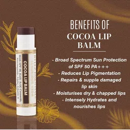 RYLLZ ESSENTIALS Cocoa Lip Balm With SPF 50 PA+++ - 5 g image 3
