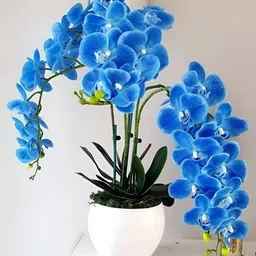 TIED RIBBONS Blue 3 Pieces Orchid Artificial Flower-2