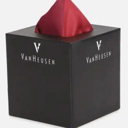 Van Heusen Red Color Block Pocket Square image 5