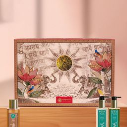 ASHPVEDA Set Of 3 Hair Care Treasure Kit - 100 ml Each-8