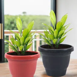 Kuber Industries Red & Black 12 Pieces Versatile & Sturdy Flower Planters-50