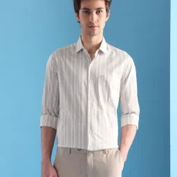 Arrow Beige Cotton Slim Fit Striped Shirt-picture-21
