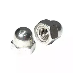 APL M10 Stainless Steel 316 Dome Nut (Pack of 100 Pcs)-19