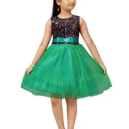 BAESD Embellished Net Fit & Flare Dress-image-80