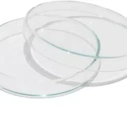 Abgil 200mm x 20mm Borosilicate Glass Petri Dish for Microbial Culture ABG1768-13