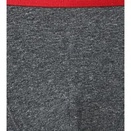 Van Heusen Sport Regular Fit Jaspe Textured Double Layer Gusset Solid Trunks - Charcoal Jaspe image 4
