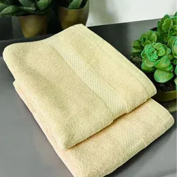 Triani 2Pcs Cream-Color Bamboo Hypoallergic Odor-Resistant Quick-Dry 450-GSM Hand Towels-4