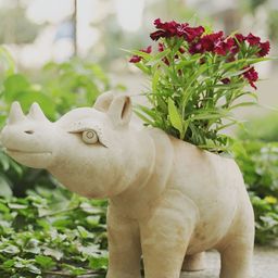 Swadeh Brown Clay  Rhino Shaped Planter Pot-image-96