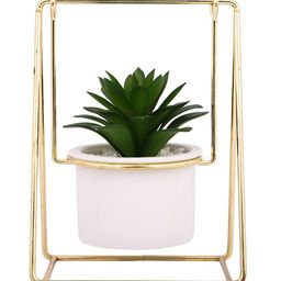 Myntra Elegant Homes White & Yellow Floating Planter With Frame image 3