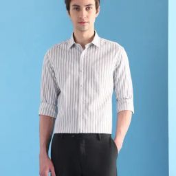 Arrow Grey Slim Fit Striped Shirt-picture-1
