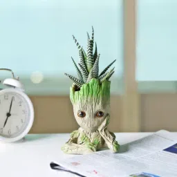 Haworthia Succulent in a Groot Planter-image-86