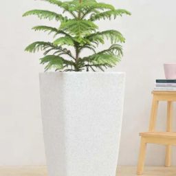Ugaoo Paris White Stone Plastic Small Planter-4
