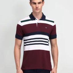 Arrow Sport Maroon Cotton Regular Fit Striped Polo T-Shirt-picture-5