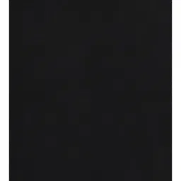 Van Heusen Performance Regular Fit Swift Dry High Stretch Solid Vest - Black image 4