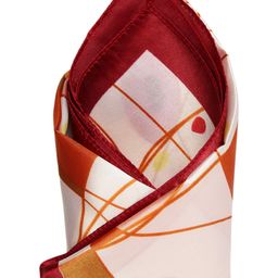Alvaro Castagnino Multicoloured Printed Pocket Square-picture-43