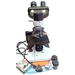 Generic Binocular Microscope Basic Model image 2