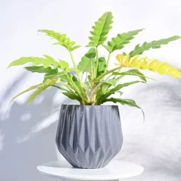Ugaoo Grey Precious Horcrux Ceramic Large Pot-image-61