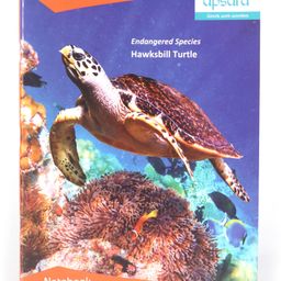 Apsara Single Line Notebook Turtle Print - 172 Pages (Color and Print may vary) image 2
