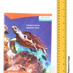 Apsara Single Line Notebook Turtle Print - 172 Pages (Color and Print may vary) image 3