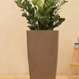 Ugaoo Paris Sand Stone Plastic Large Planter-2