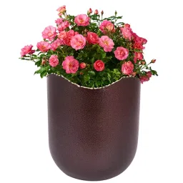 ORILEY Metal Flower Pot Heavy Duty Planter 15 x 13 cm Textured Brown-image-60