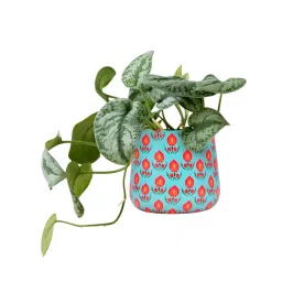 ORILEY Metal Flower Pot Gamla Round Planter 13 x 13 cm Sky Blue-image-69