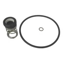 Dayton Pump Shaft Seal Kit Seal Type 21, 4JMY8-image-23