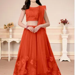 F Plus Fashion Red Net Lehenga Choli-picture-25