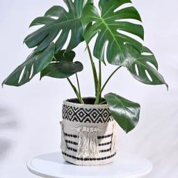 Ugaoo Multicolour Tassel Cotton Small Basket Planter-27