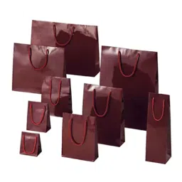 AS ONE Bright Bag Coated Paper with PP Handle Dark Red, 61-314-3-22 (Set of 150 pcs) image 1